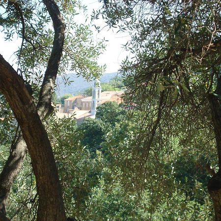 Costa Di Sognu Villa Bagian luar foto