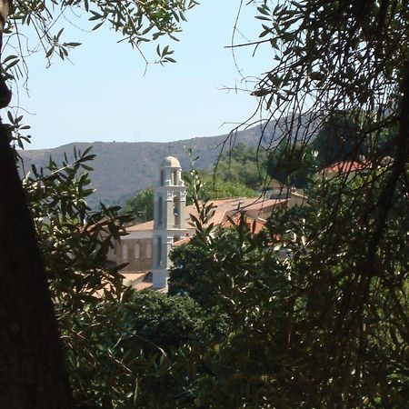 Costa Di Sognu Villa Bagian luar foto