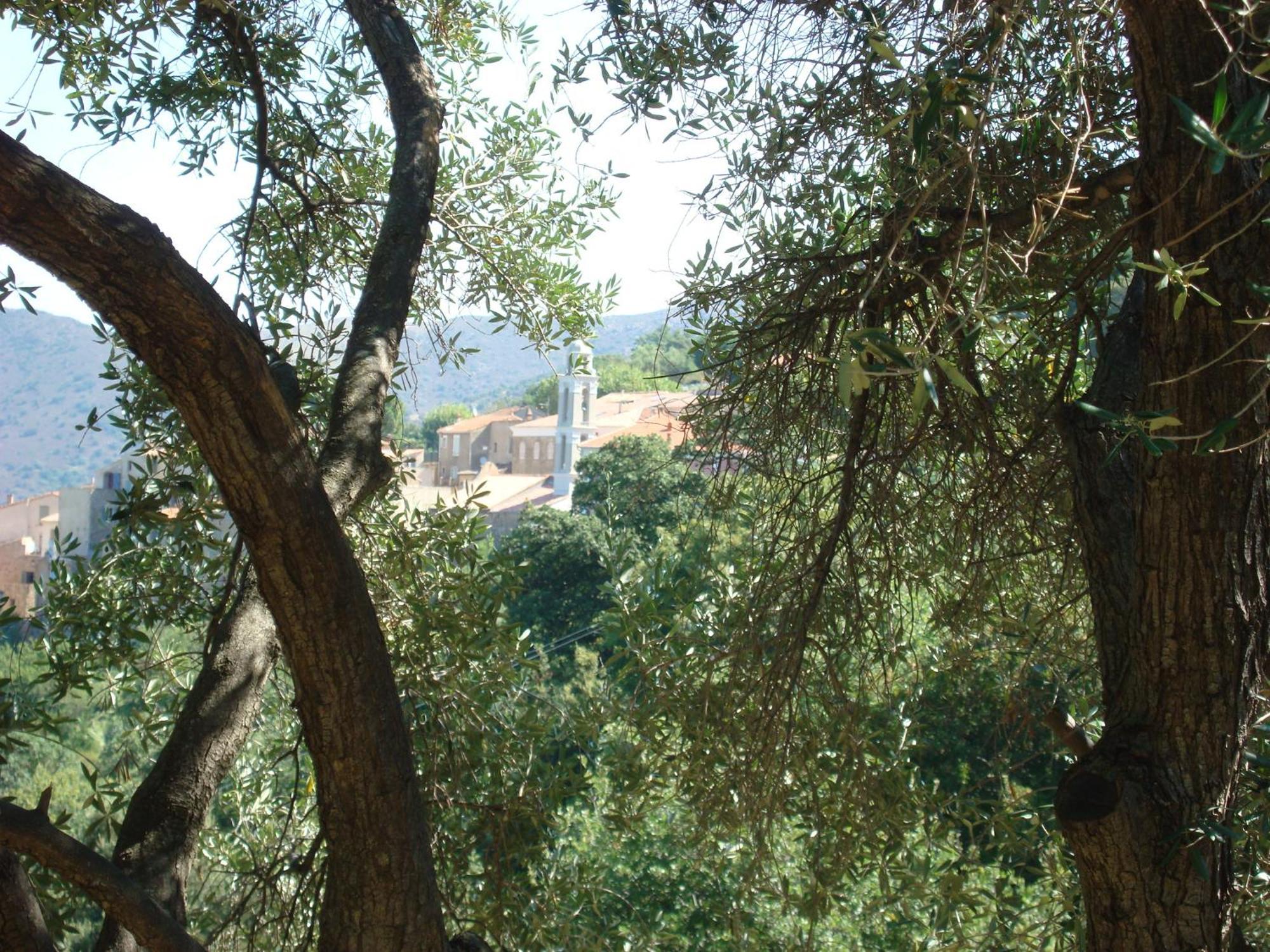 Costa Di Sognu Villa Bagian luar foto