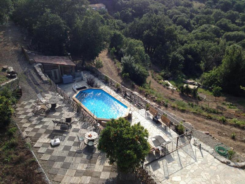 Costa Di Sognu Villa Bagian luar foto