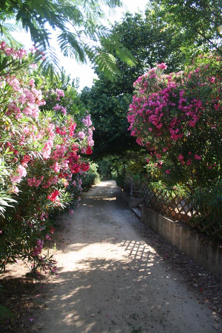 Costa Di Sognu Villa Bagian luar foto