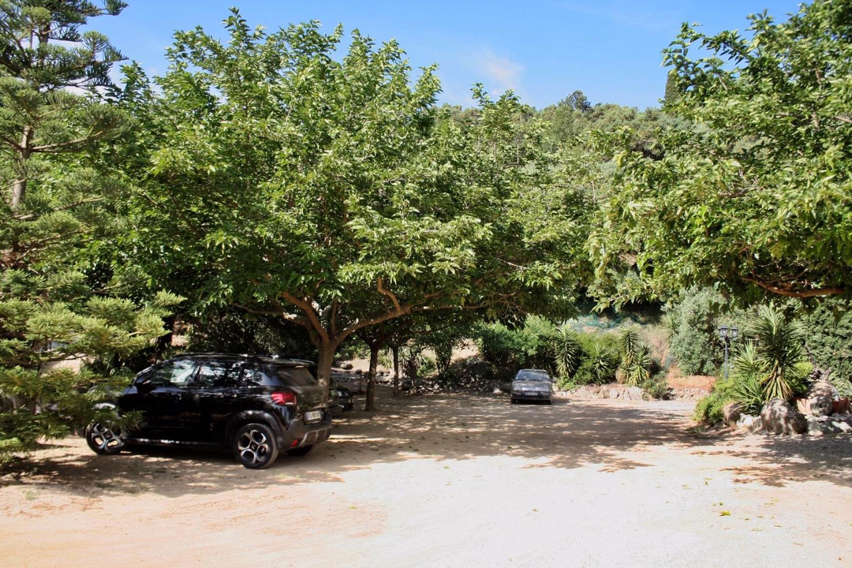 Costa Di Sognu Villa Bagian luar foto