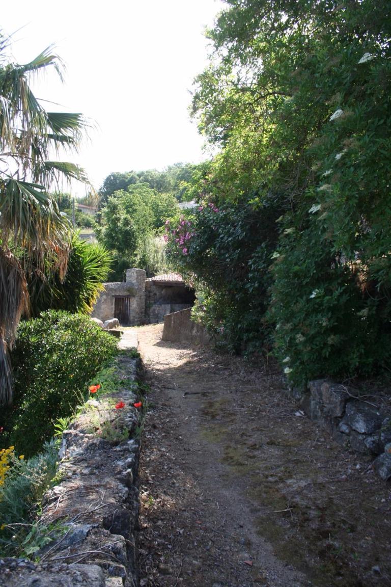Costa Di Sognu Villa Bagian luar foto