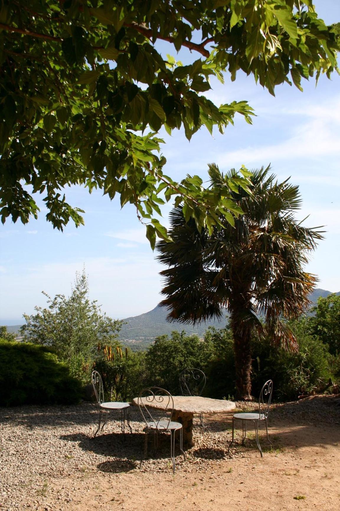 Costa Di Sognu Villa Bagian luar foto