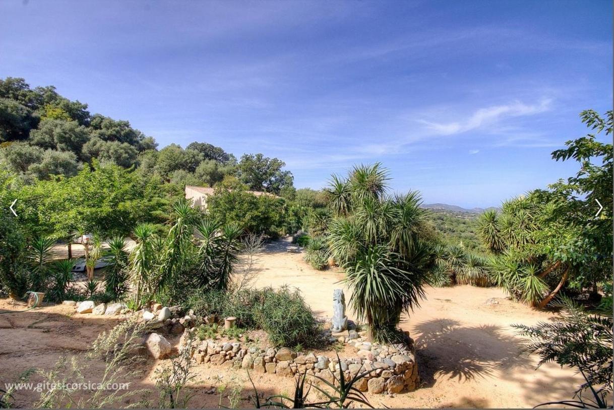 Costa Di Sognu Villa Bagian luar foto
