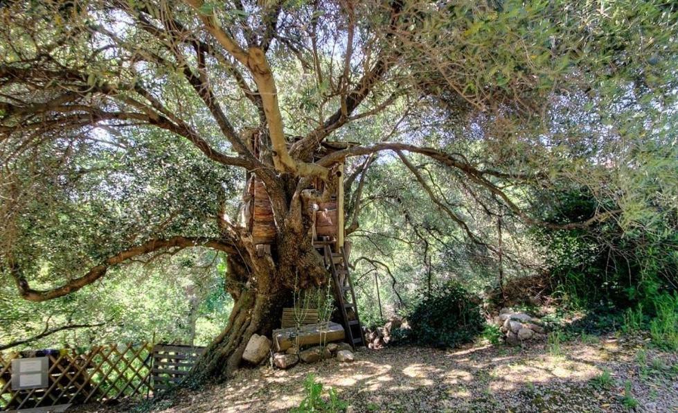 Costa Di Sognu Villa Bagian luar foto