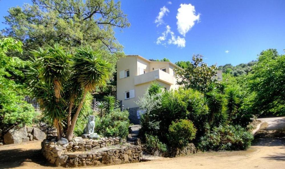 Costa Di Sognu Villa Bagian luar foto