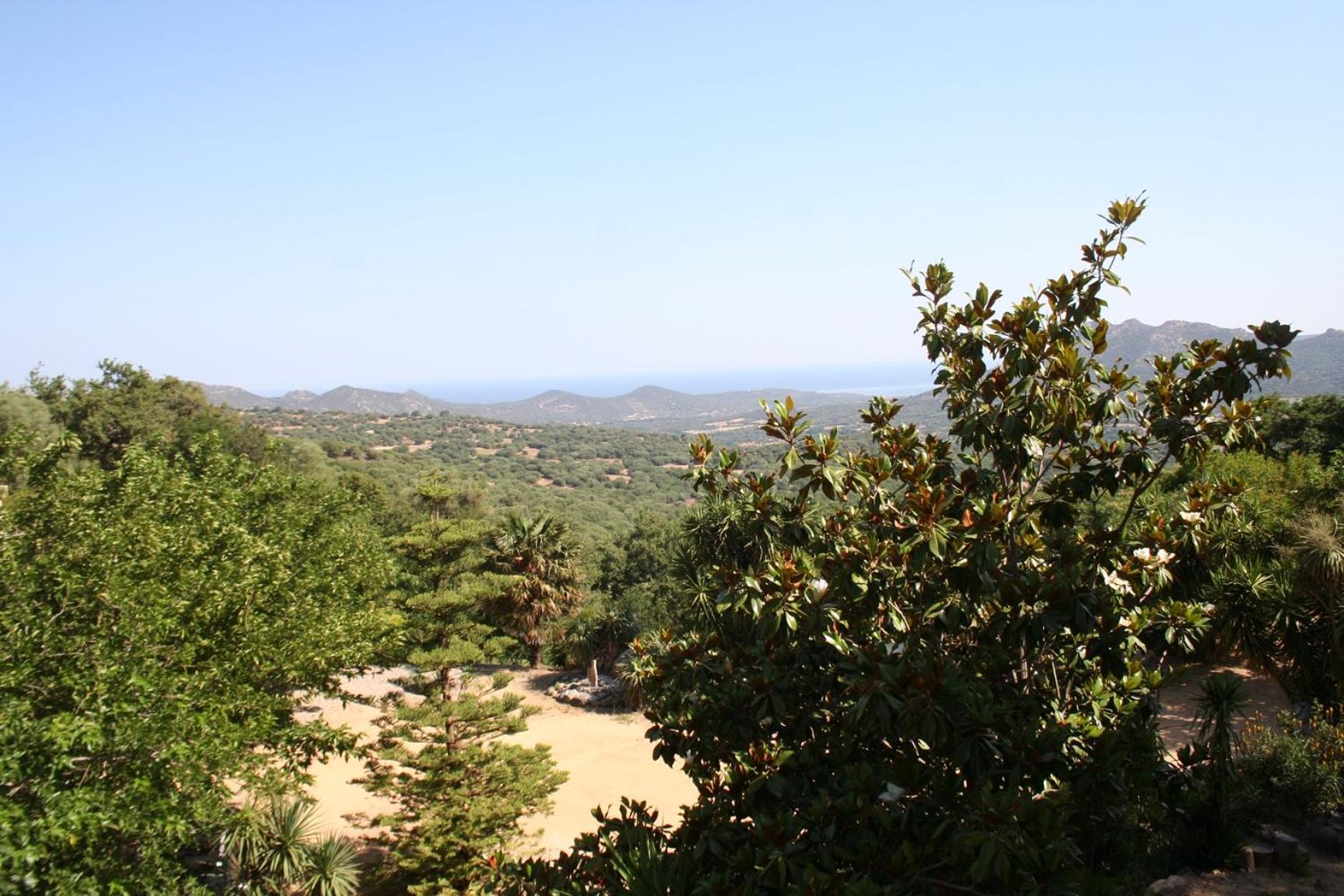 Costa Di Sognu Villa Bagian luar foto