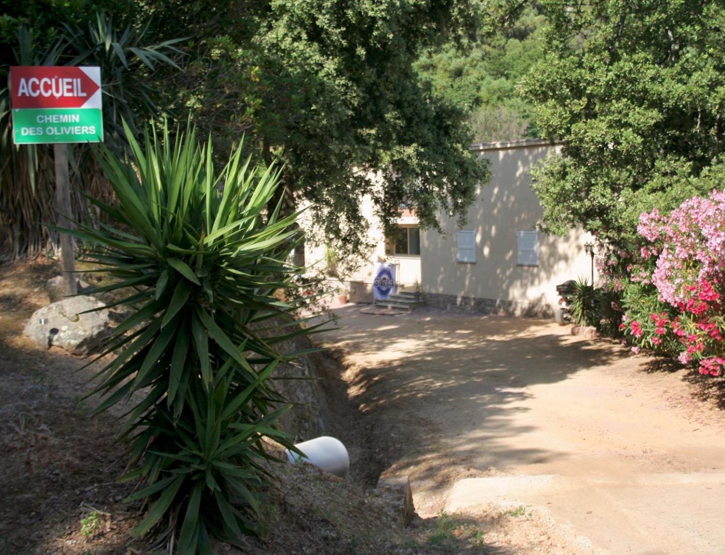 Costa Di Sognu Villa Bagian luar foto
