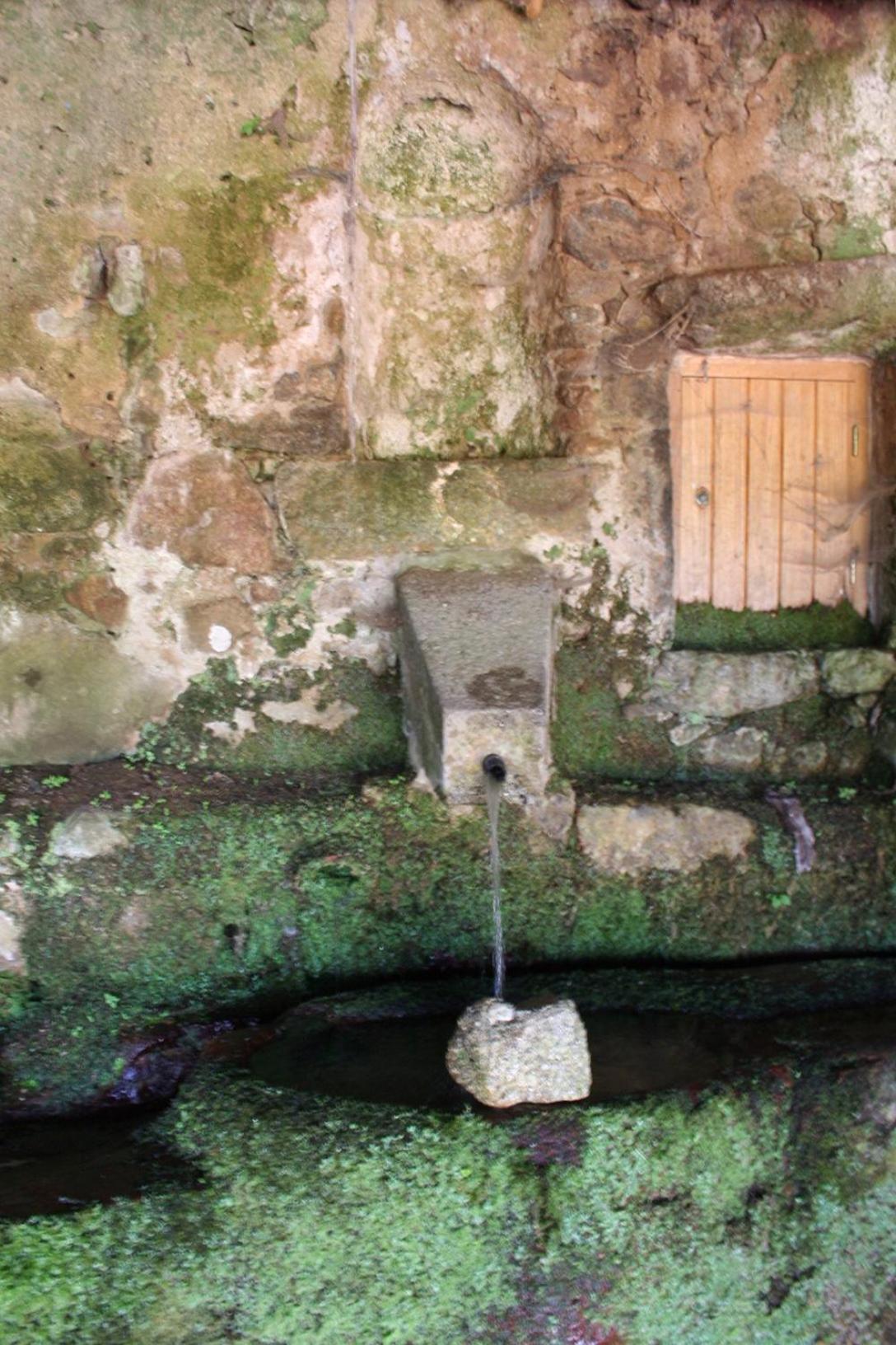 Costa Di Sognu Villa Bagian luar foto