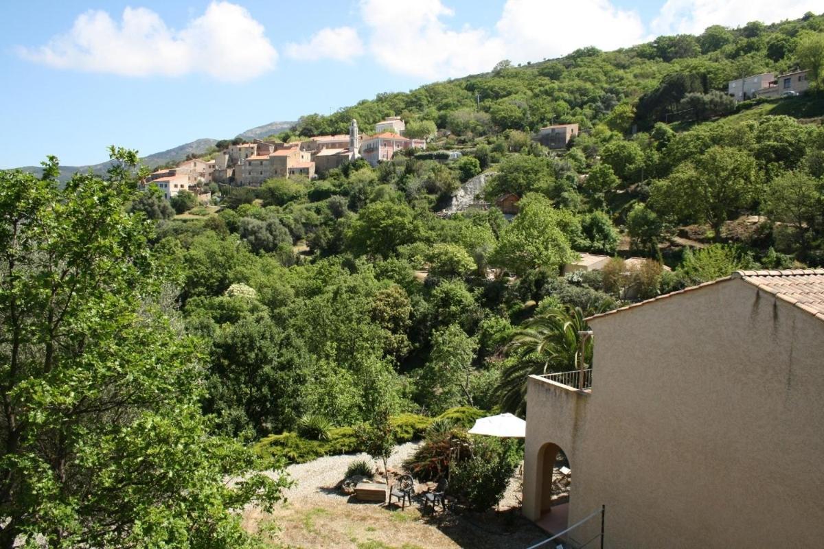 Costa Di Sognu Villa Ruang foto